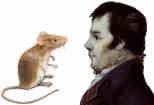 Burns addressing a mouse