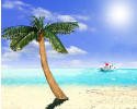 sun sea holiday