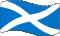 Reading St Andrews flag