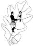 St John’s oak leaf and dancers banner